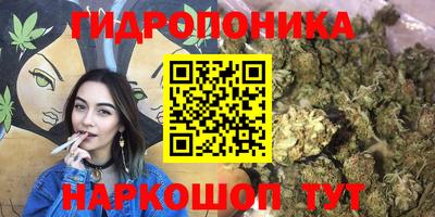 мет Ливны