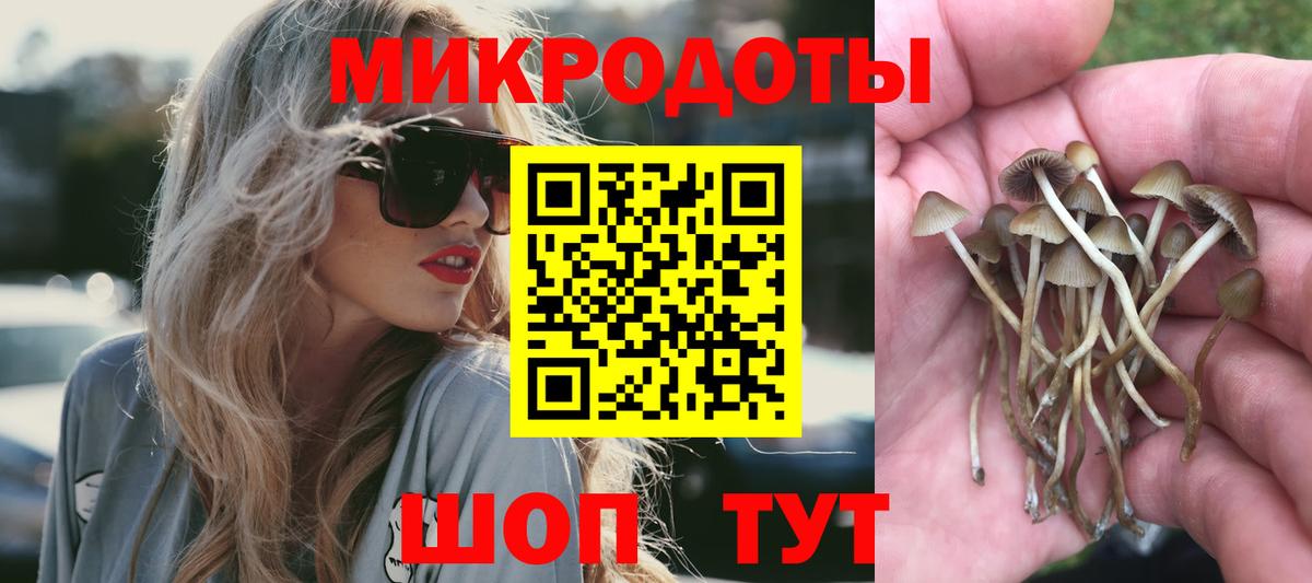 Галлюциногенные грибы Magic Shrooms Зеленодольск